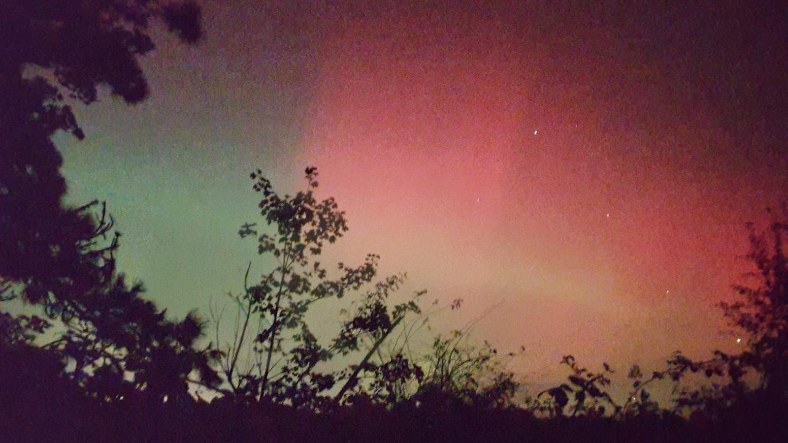 Dark trees are set against a red and green night sky