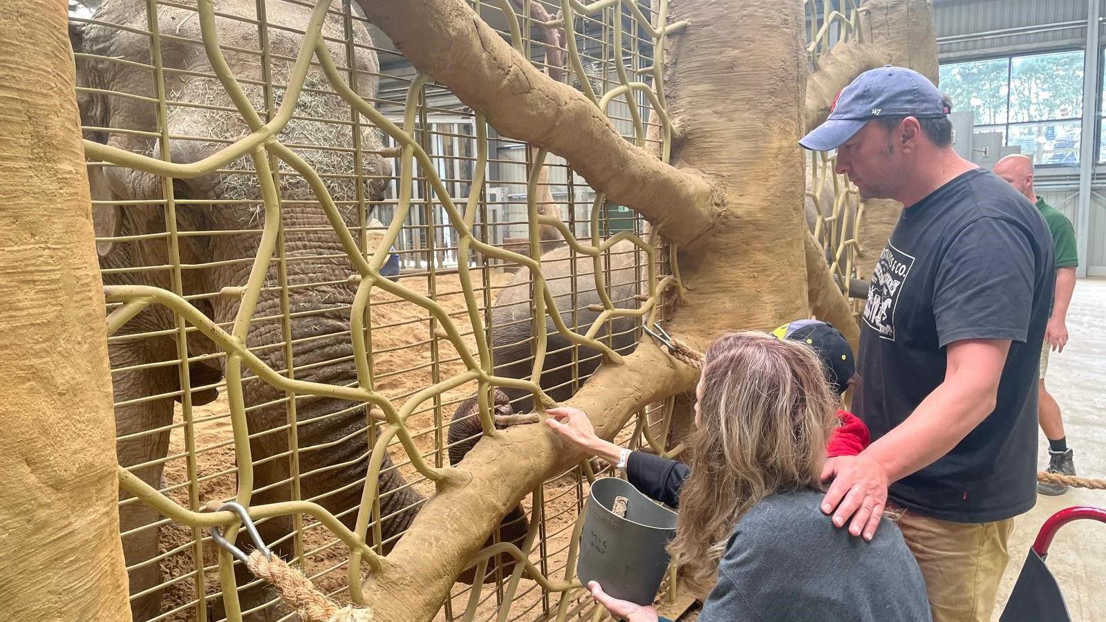 Liene feeds elephants with her son at the zoo