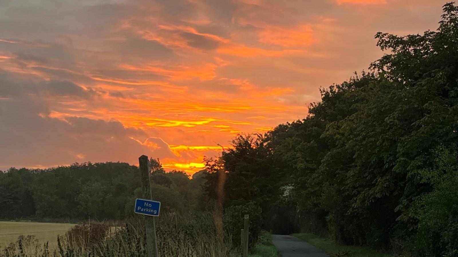 A red cloudy sky at sunrise abover a field surrounded by trees