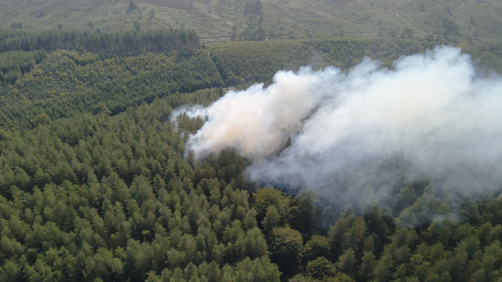 Anearial shot, showing a large plume of smoke eminating from a heavily wooded area.