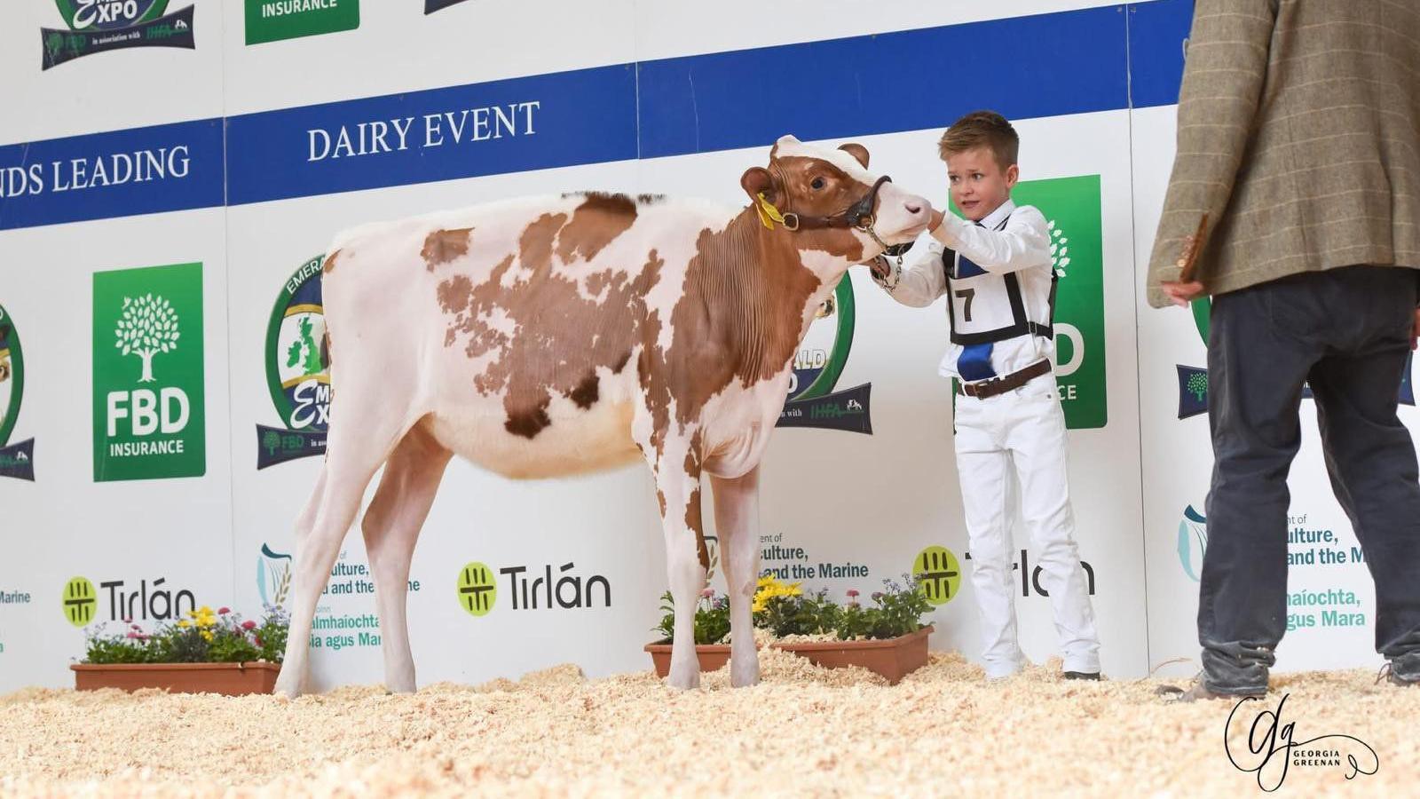 Cody with short blonde hair wearing a white uniform with a number 7 on his bib. He is holding a brown and white cow and there is a white background with branding. There is some with a tweed brown jacket and black trousers on standing next to him.
