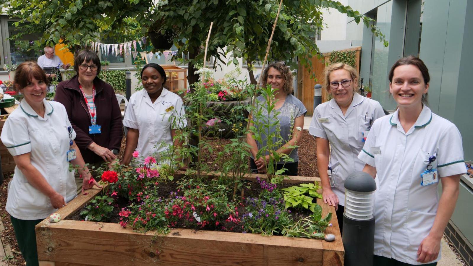 Six health workers are standing around a wooden planter containing a selection of colourful plants and flowers