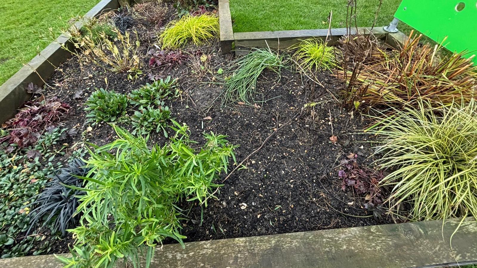 A raised planter in the garden, with a large patch of soil visible where a plant has been torn out. 