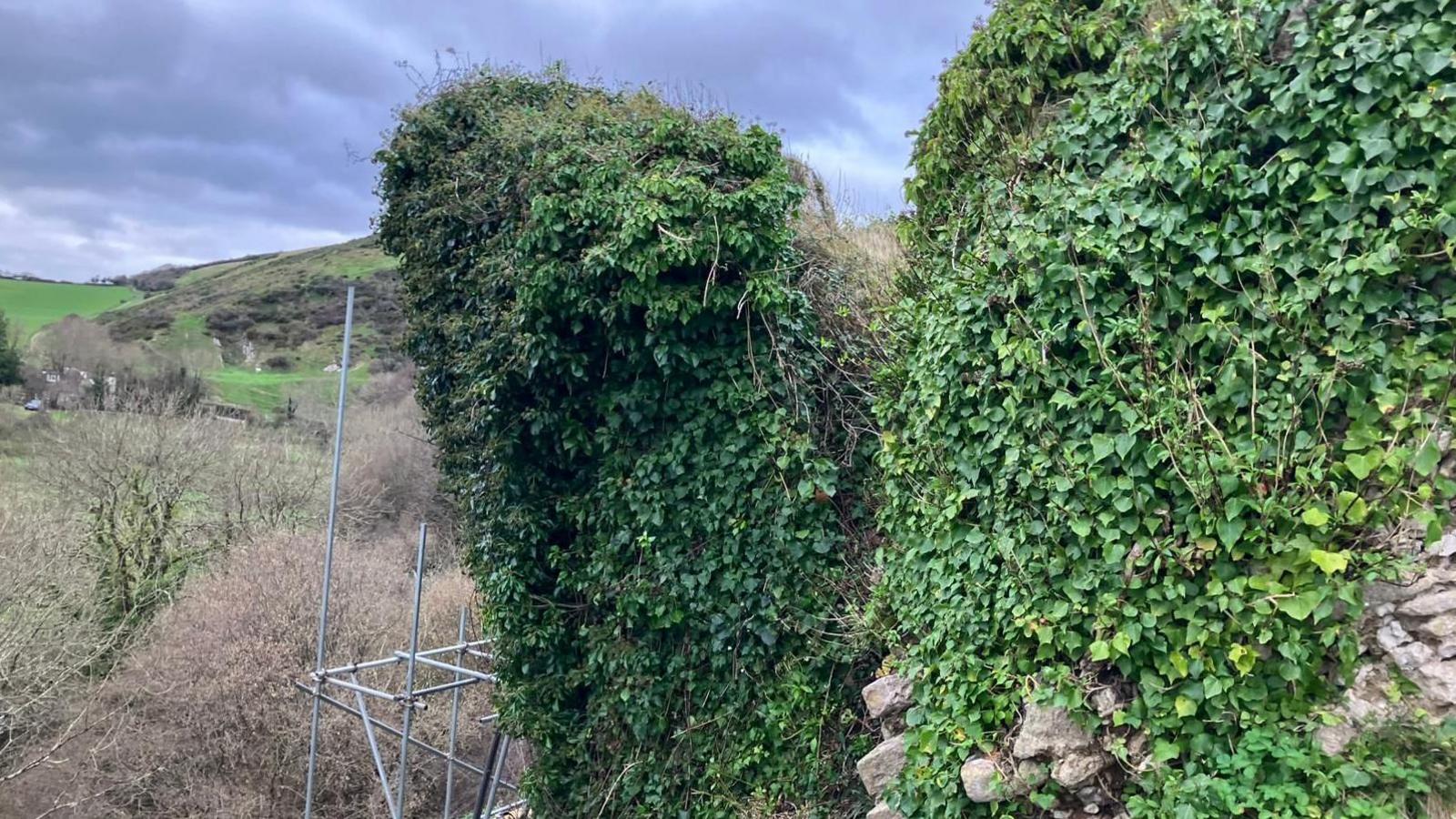 Corfe Castle tower covered in vegetation and ivy - only a few stones from the castle can be seen.