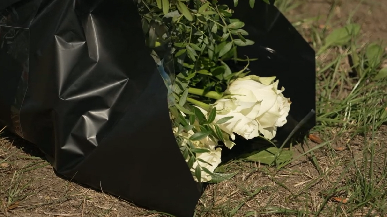 A close up shot of some white roses and greenery. They are laid on grass in a black wrap.