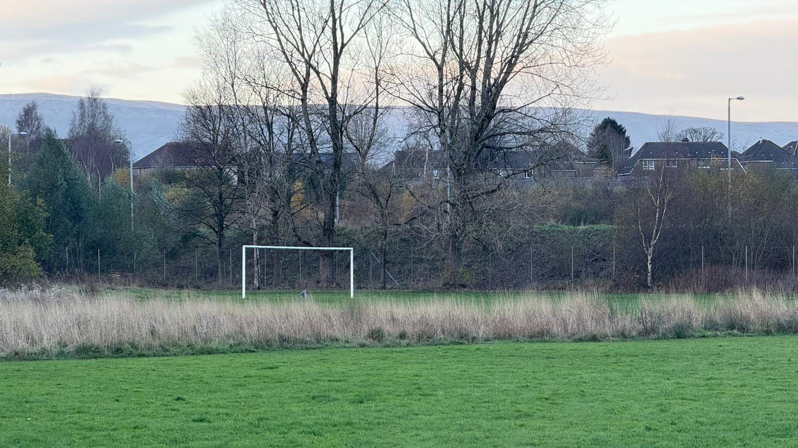 A park, with bare trees in the background, and a solitary set of football goals
