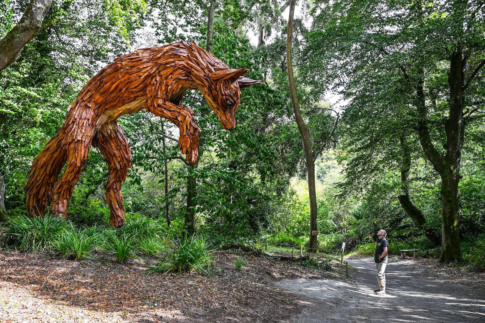 A large wooden sculpture of a fox looms over a visitor along a woodland trail