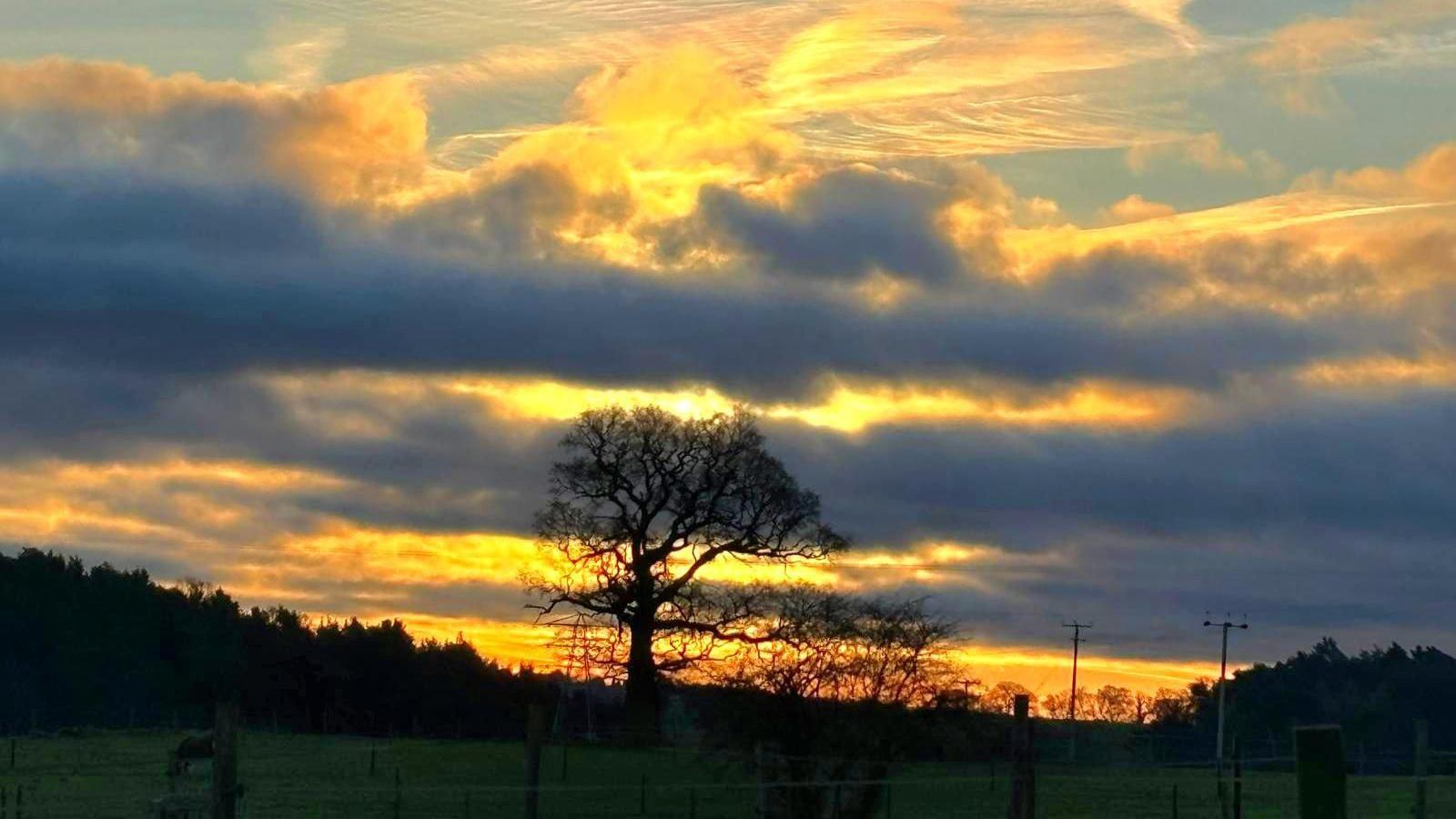 The sun as it starts to drop through the clouds lights them up in yellow and orange. Beneath the clouds, bare trees are outlined against the sky.