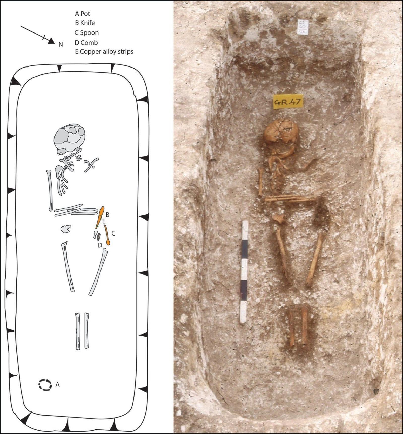 Image of a skeleton in a grave, next to an illustration of the skeleton in the grave