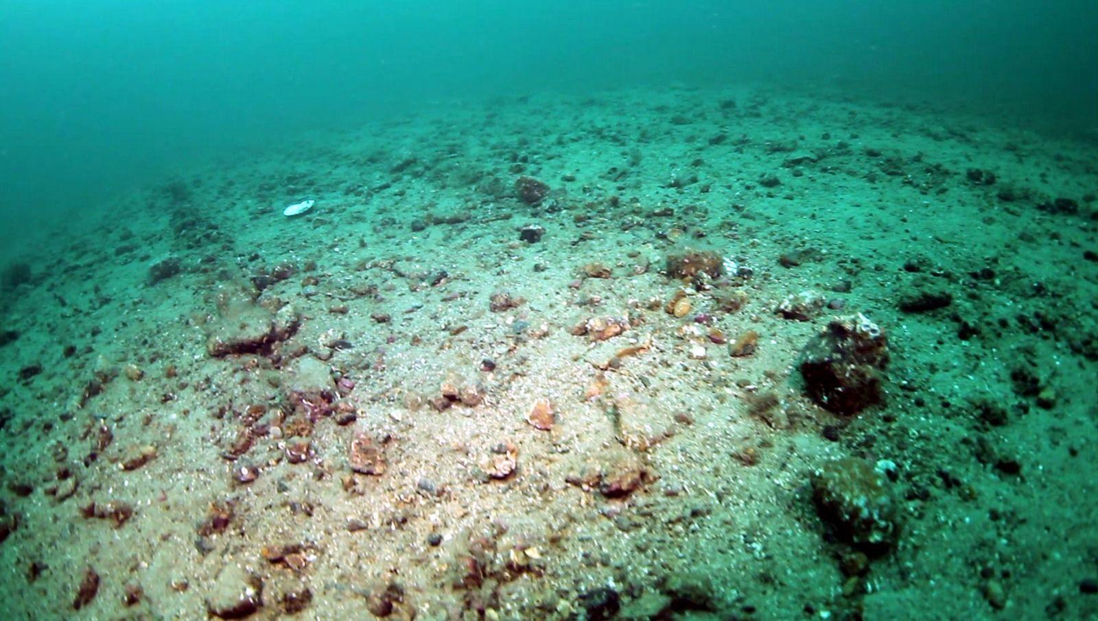 An underwater image of a seabed. The seabed is barren and has lots of stones scattered across it.