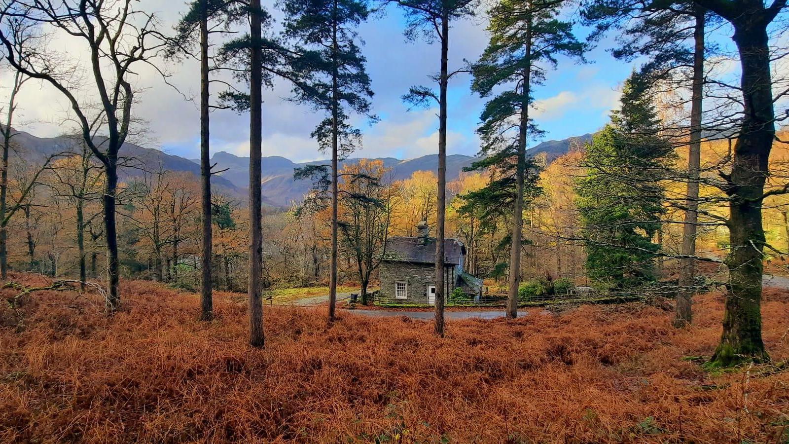 A small stone cottage sits behind a road and in the middle of a forest. There are narrow, tall trees in front of it and the ground is covered in some orange plant. Behind the house you can see various mountains and hills and trees with orange and yellow leaves.
