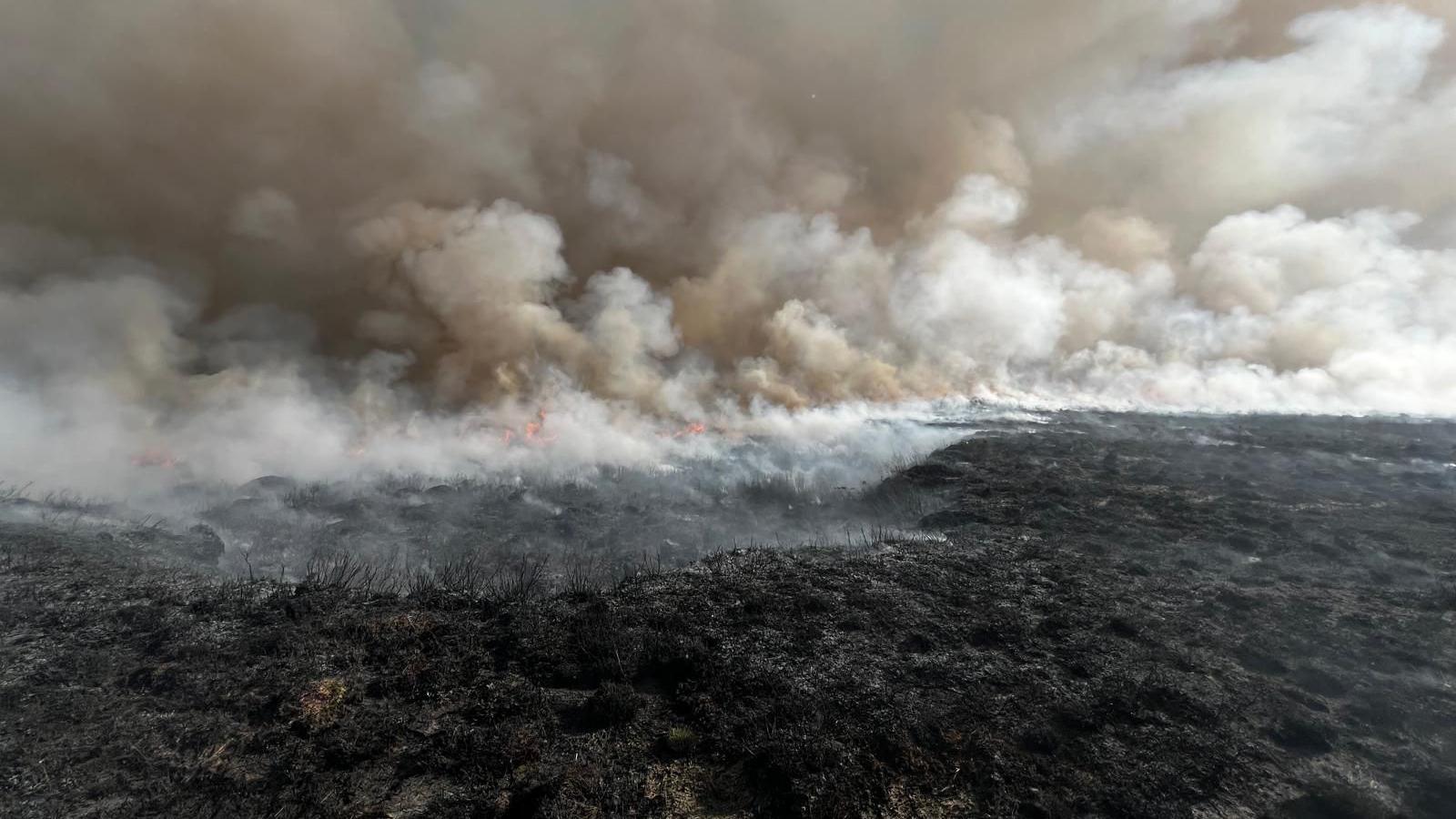 A large blackened section of grassland has plumes of smoke billowing from it in the air.