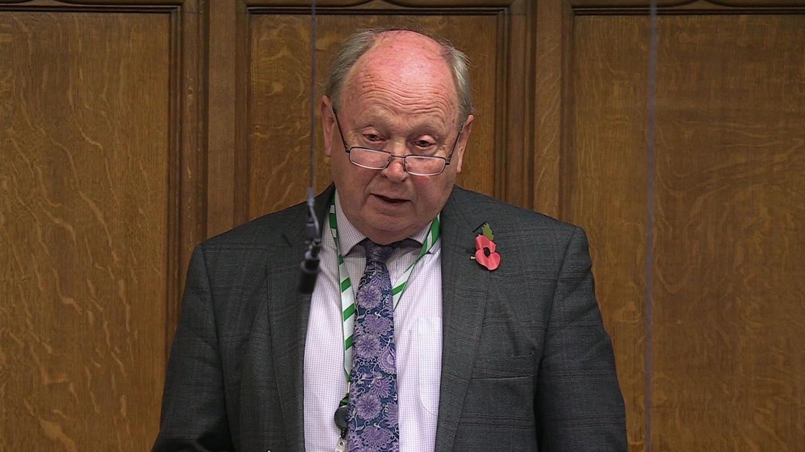 Jim Allister speaking in the House of Commons. He is bald with hair on the sides, wearing glasses, a grey blazer, light purple shirt and purple floral tie and green lanyard with a poppy pin on his lapel. Wood panelling is behind him and a microphone is in front.