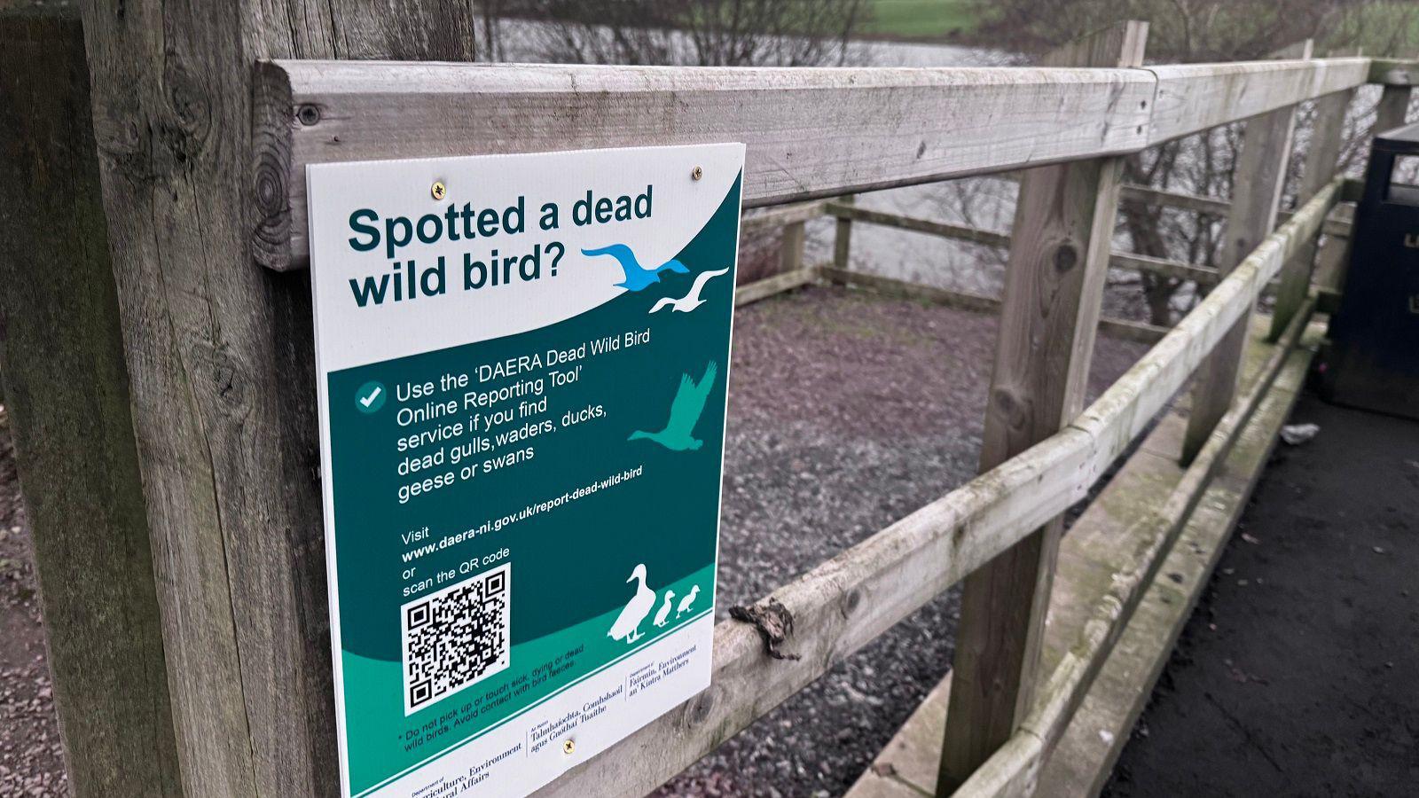 A sign saying "spotted a dead wild bird". Use the Daera dead wild bird online reporting tool.