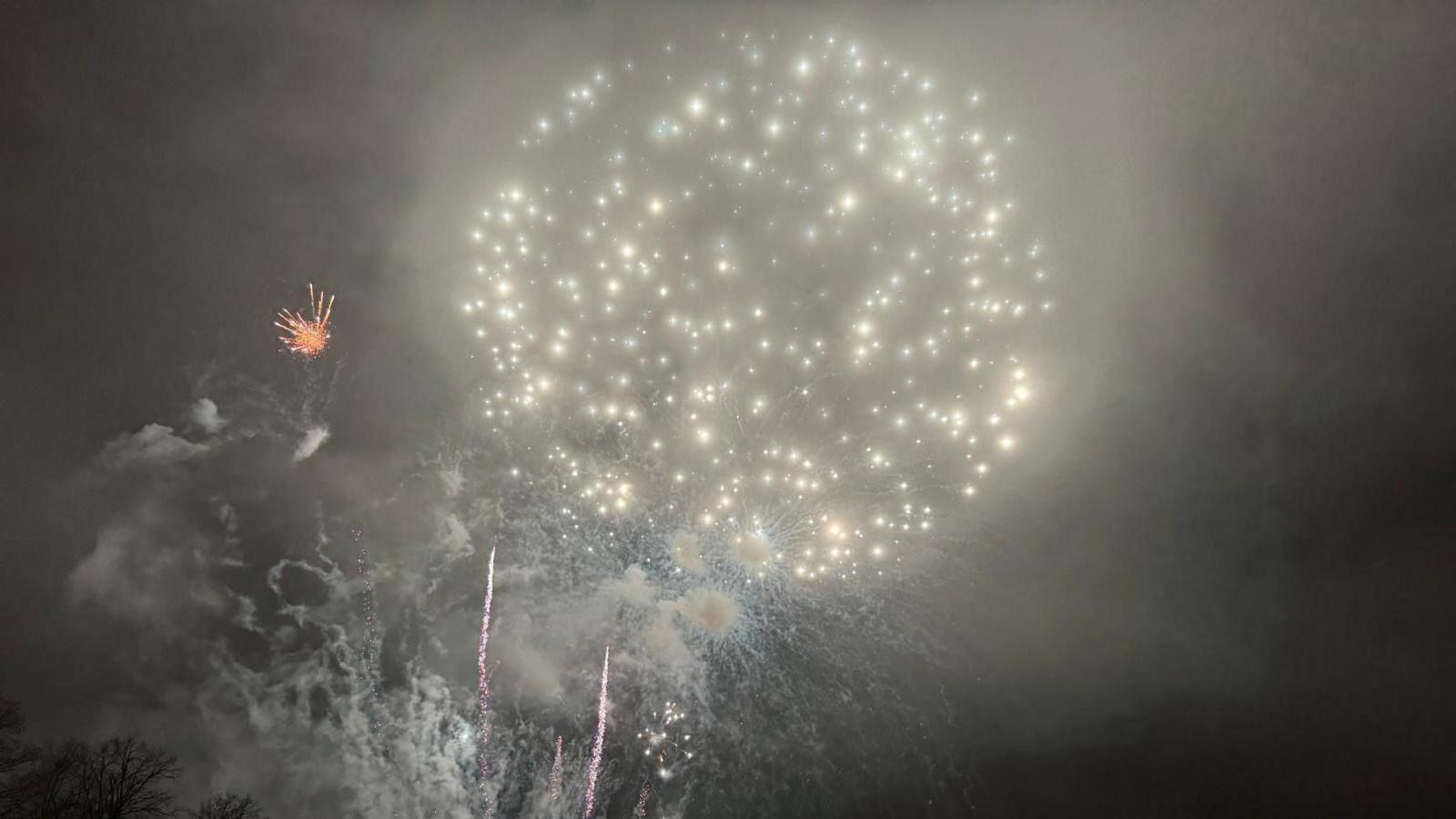 A white firework sparkles against a dark sky