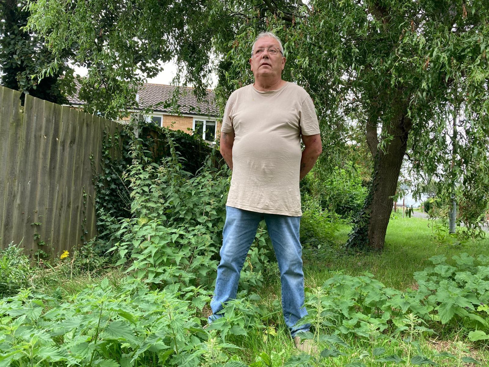 A man standing among weeds and grass with a tree in the background and a wooden garden fence to his right. He has a cream t-shirt and is wearing pale blue jeans