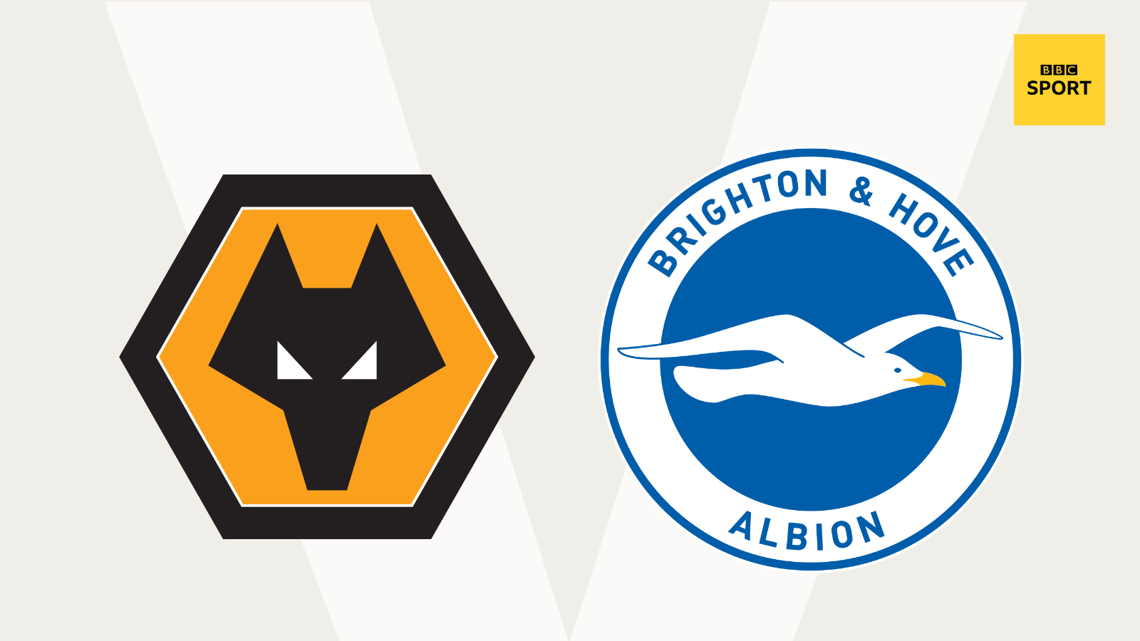 Wolves v Brighton