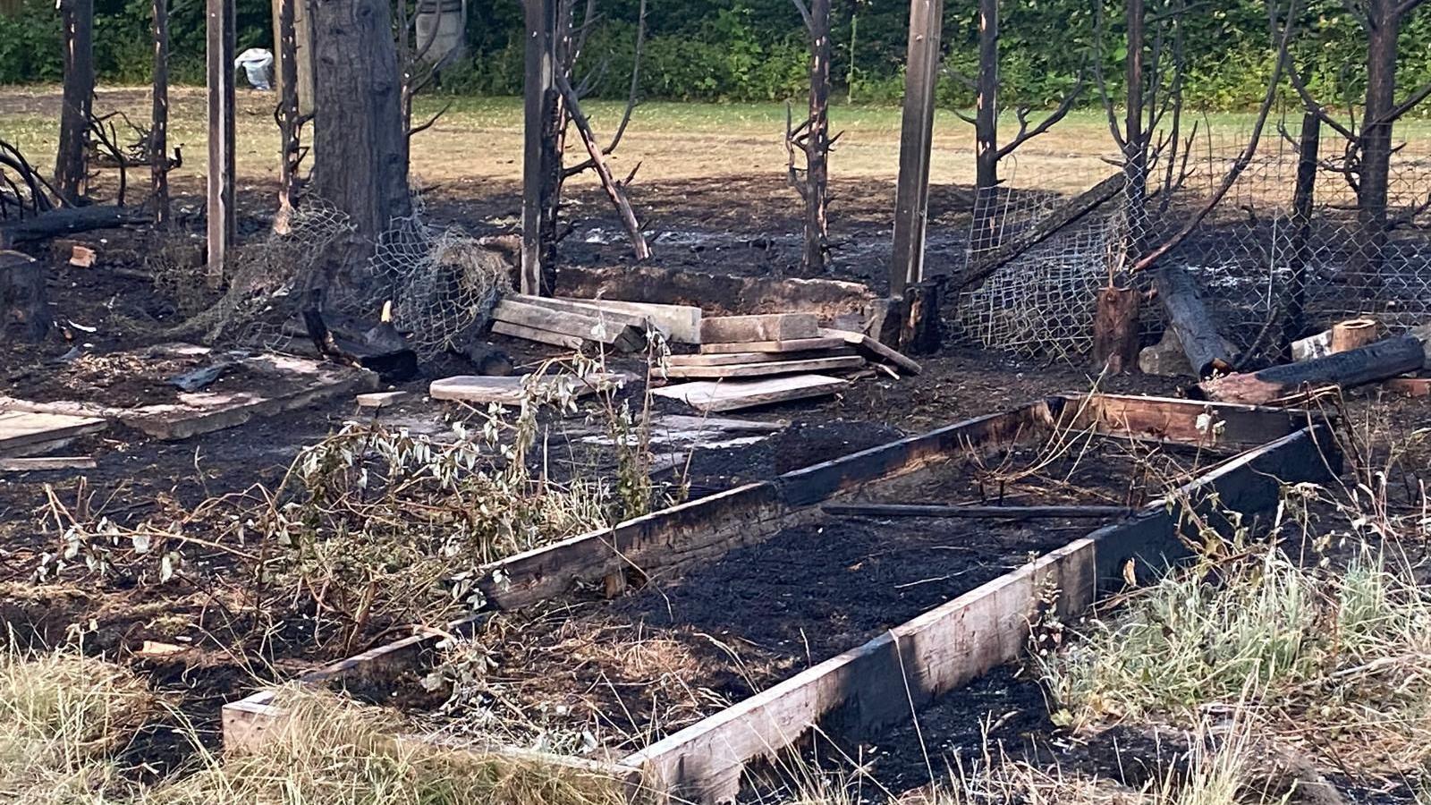 Burnt raised beds in a garden