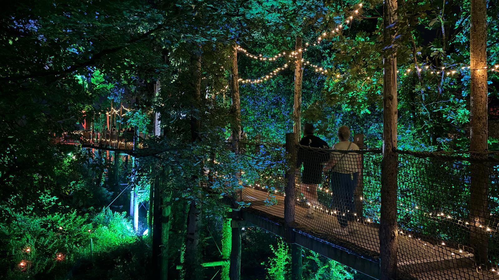 People walk along a tree-top bridge through the woodland canopy. It is lit up with fairy lights and the trees are lit up with blue and green lighting.
