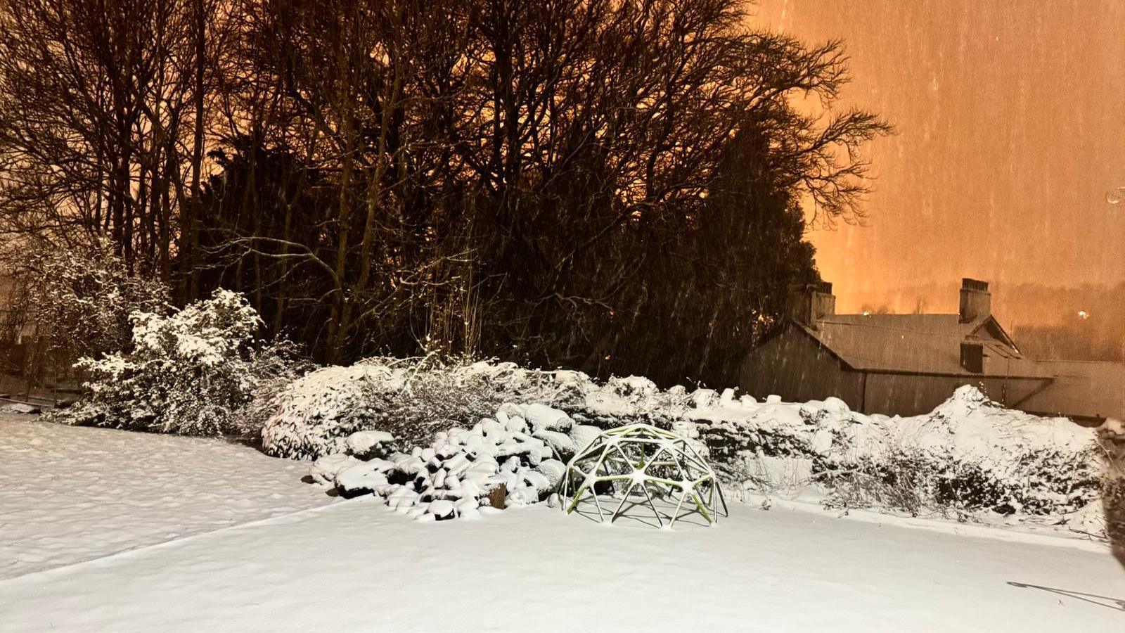 Gardd yn Rhymni, Caerffili, wedi gorchuddio â eira nos Sadwrn