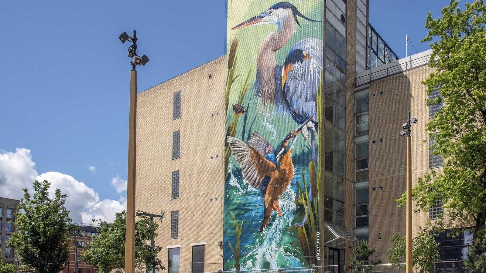 A photo of the finished piece. It is on the side of a light-brown/beige brick building. The sun is shining on it. Part of the building juts out slightly, and the painting is only on that surface, which is around 25 metres tall and roughly eight metres wide. The background of the painting is light green, fading into dark blue at the bottom in a gradient. There are some water plants and reeds arching into the painting from the side of it. The bottom third has had texture added, making it look like water. It is very realistic. A kingfisher, with its wings outstretched, is emerging from the water. It is orange, with some bright blue on its head. Above it, slightly in the background, is a heron. It is standing still, looking off to the left of the frame. It is mainly white, with some orange and navy blue at the base of its wing.