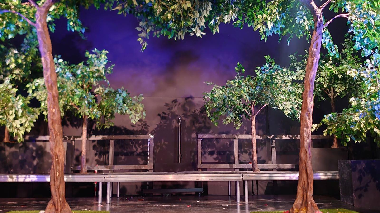 Four trees on a stage - two in the foreground and two in the background. They have brown trunks and deciduous green leaves.