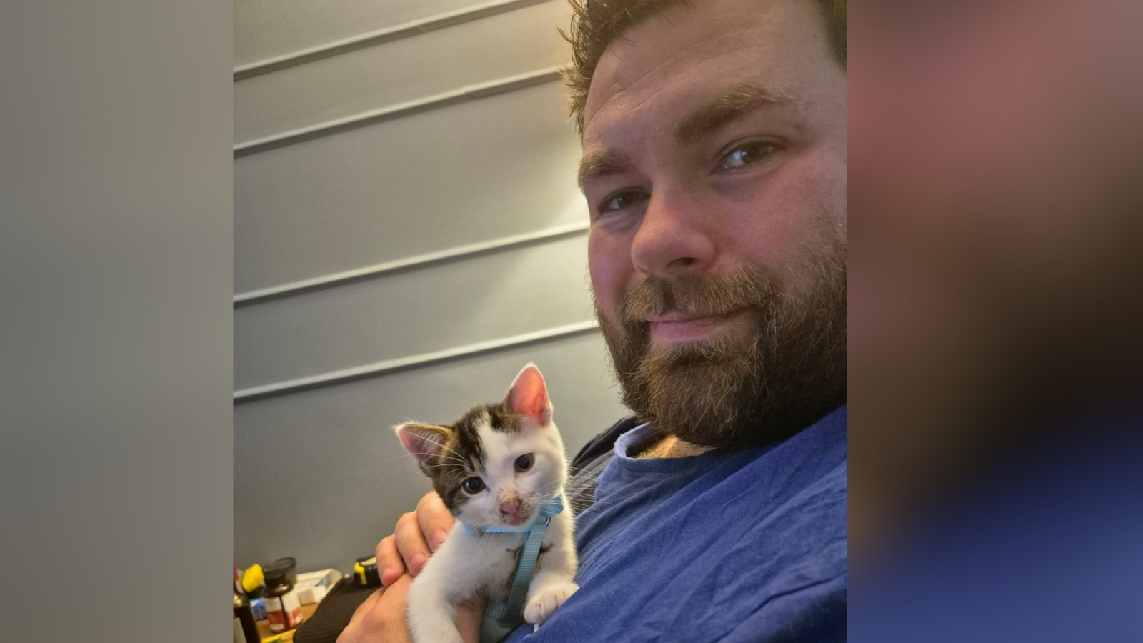 A small mainly white kitten with tortoiseshell patches on his head and a light blue collar is held by Alan Dyer. Alan has a brown beard and short brown hair, and wears a dark blue t-shirt.