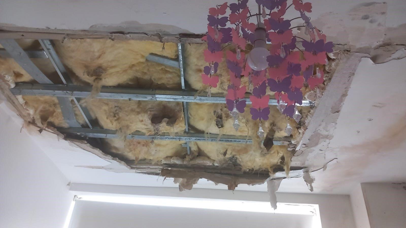 A collapsed ceiling with surrounding mould and the insulation revealed. There is a light hanging from the ceiling which is surrounded by a lampshade of plastic butterflies.