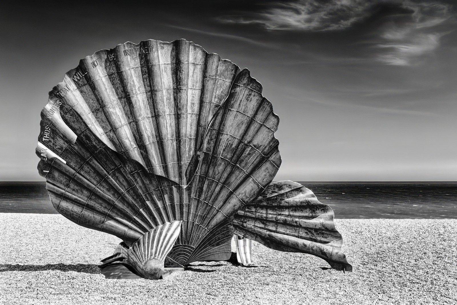 A sculpture of a scallop on a beach