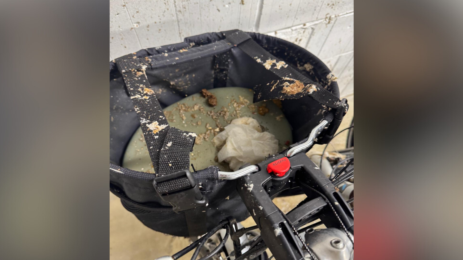 A picture of a bike with raw sewage covering it.