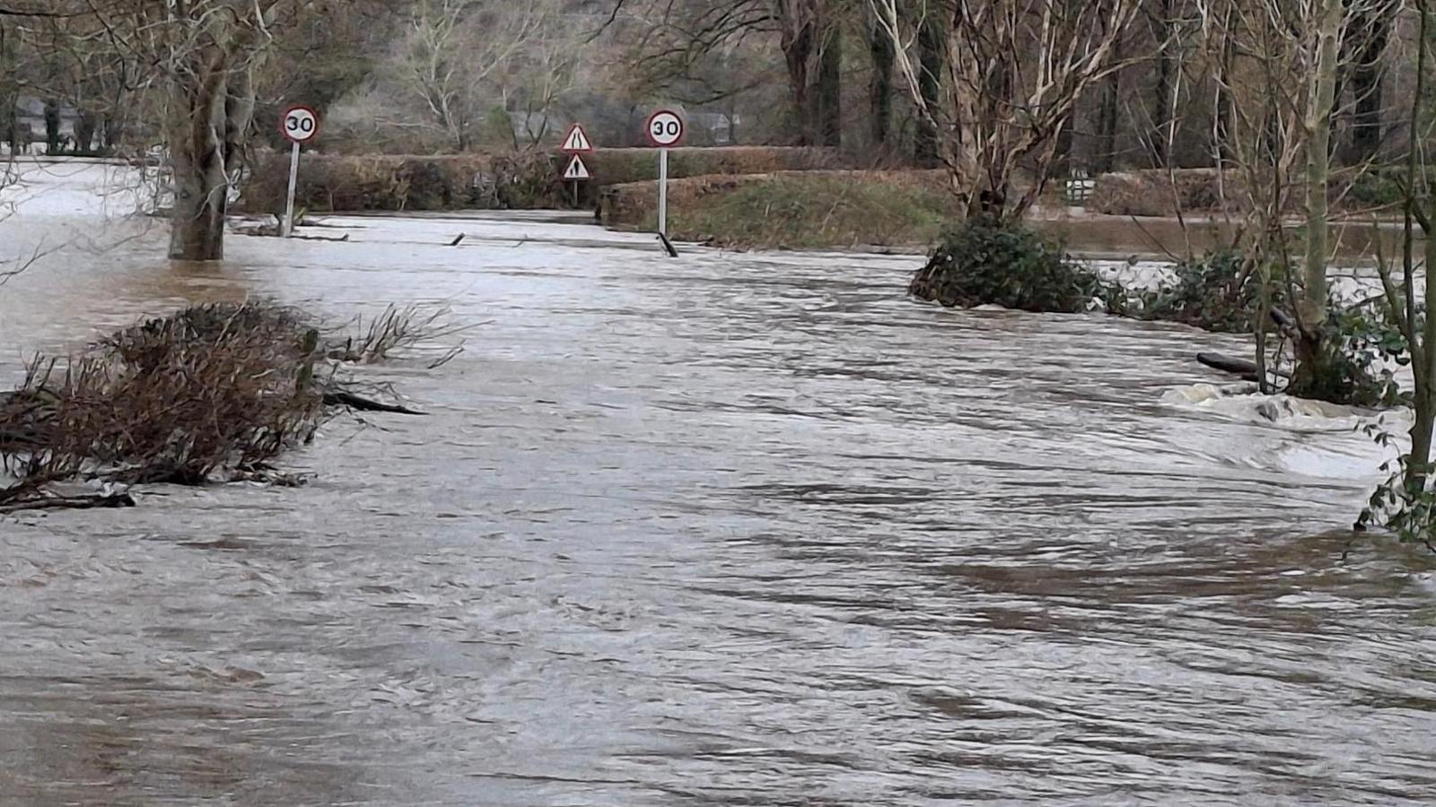 A flooded road with trees and speed signs visible above the water