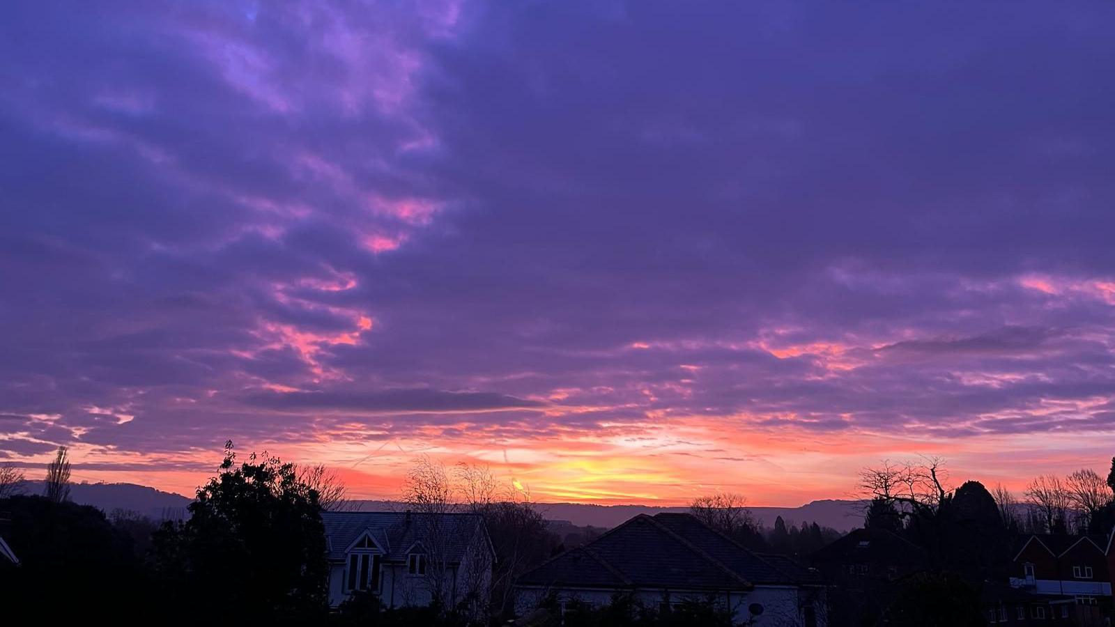 A purple sky with a hint of purple as the sunrises in Kingsholm. The dark shapes of trees and houses are silhouetted in the foreground