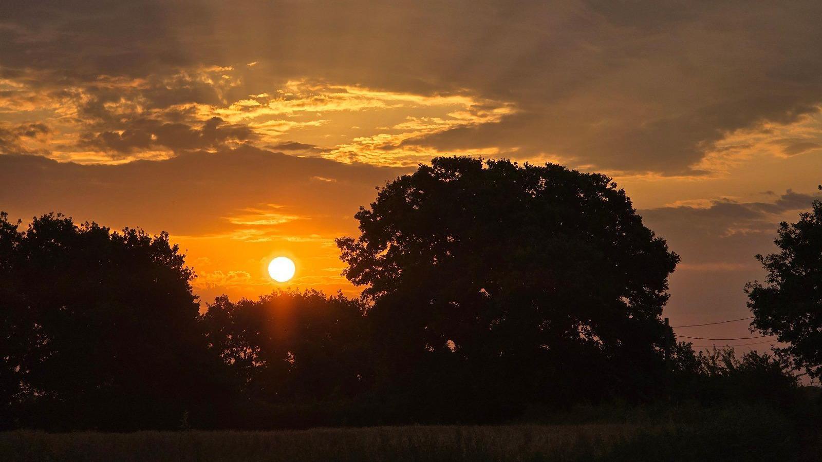 The sun as it sets, turns the sky orange and yellow with nearer trees silhouetted against it.