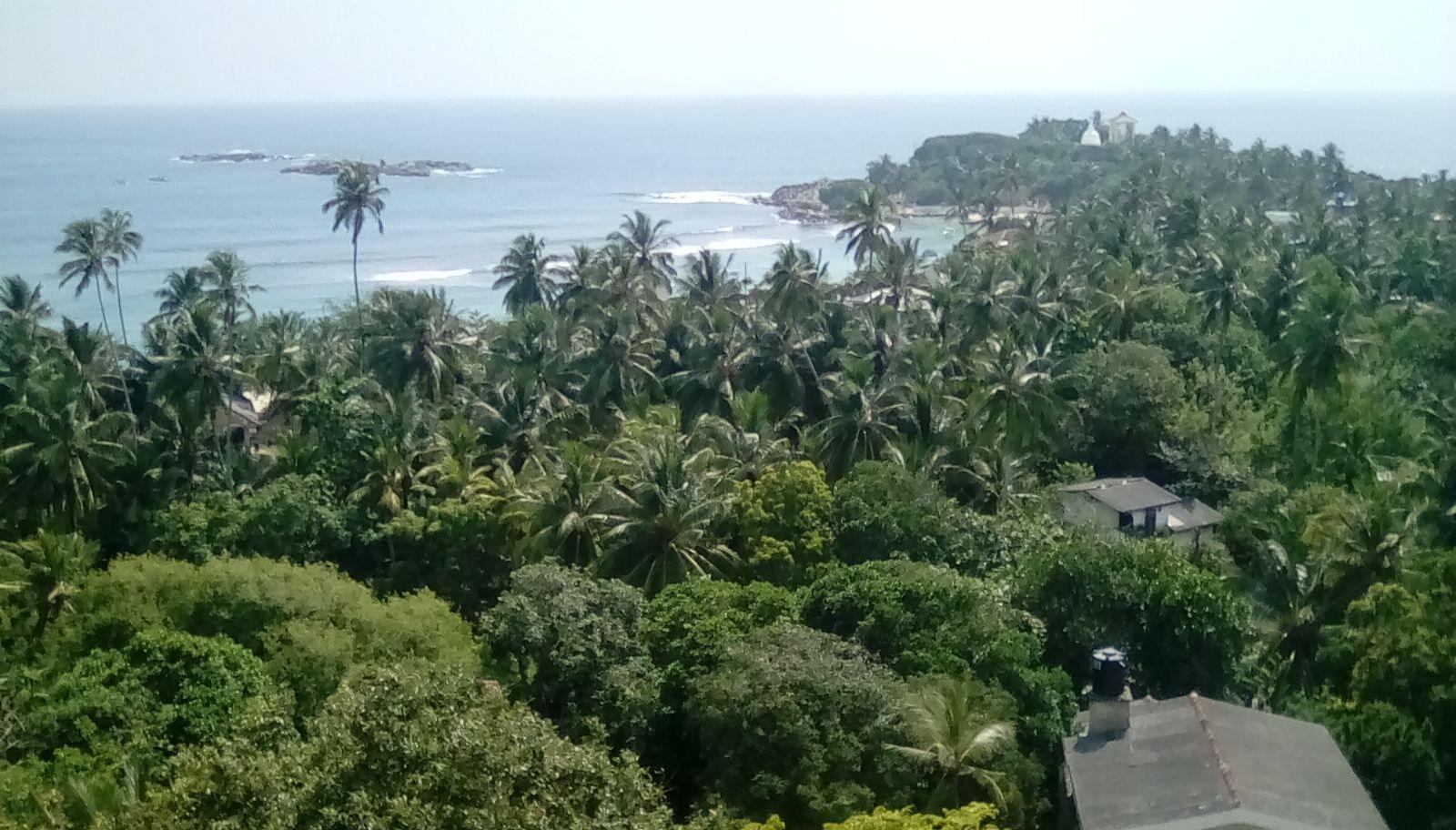 Unawatuna from above the tree line, looking down on to a bay.