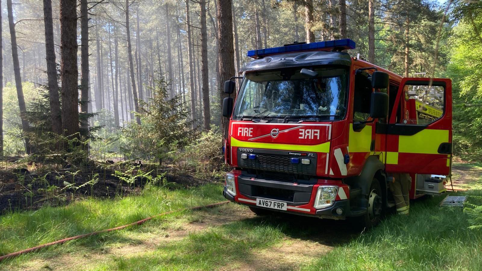 A fire engine is parked in the middle of a forest. One of its doors is open as a firefighter reaches inside.