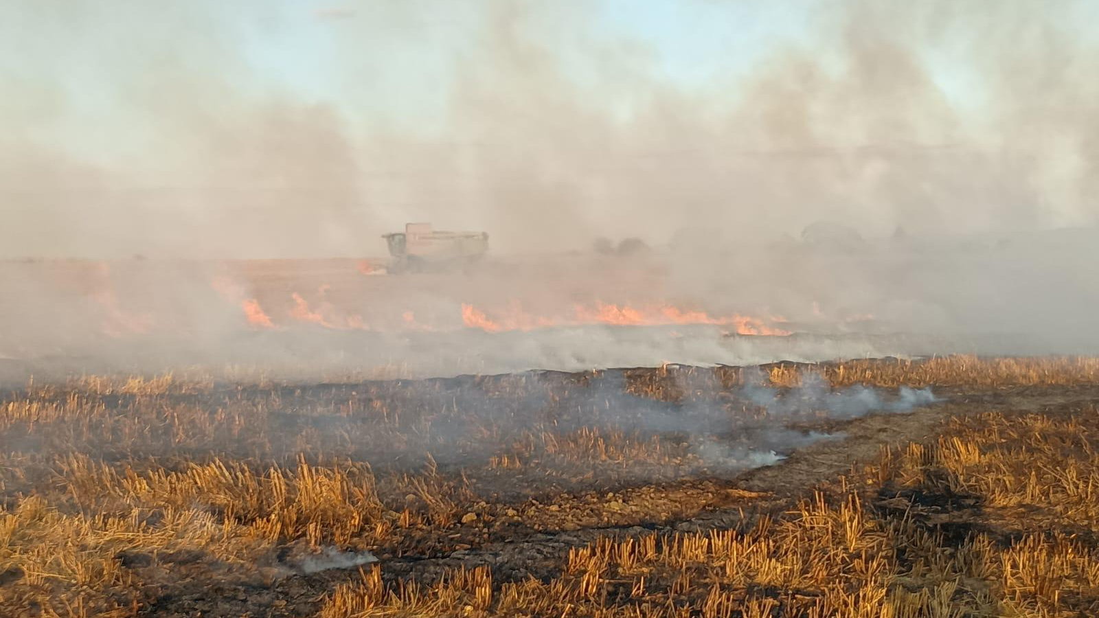 A burning field with flames seen in the distance