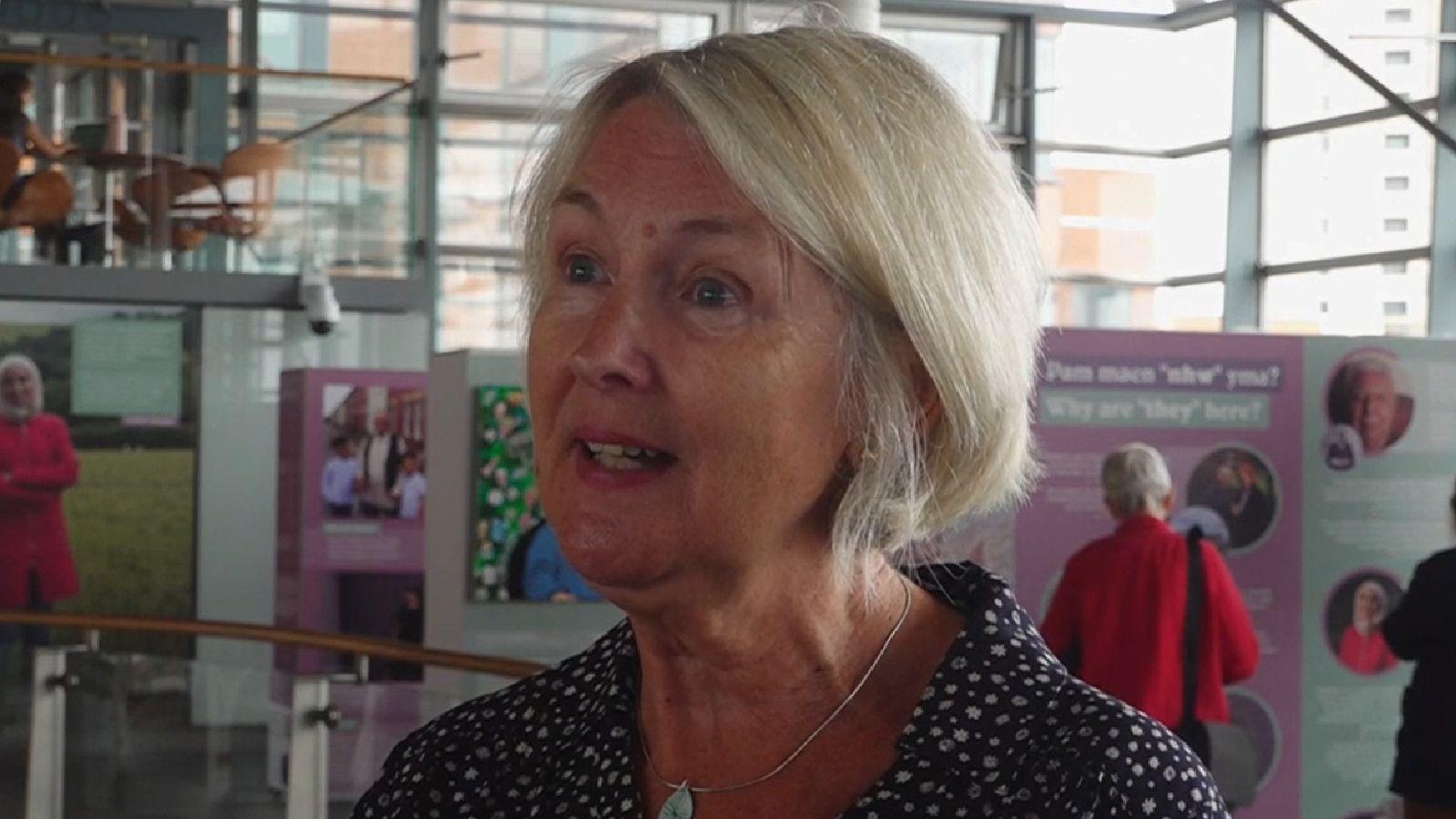 Sian Gwenllian