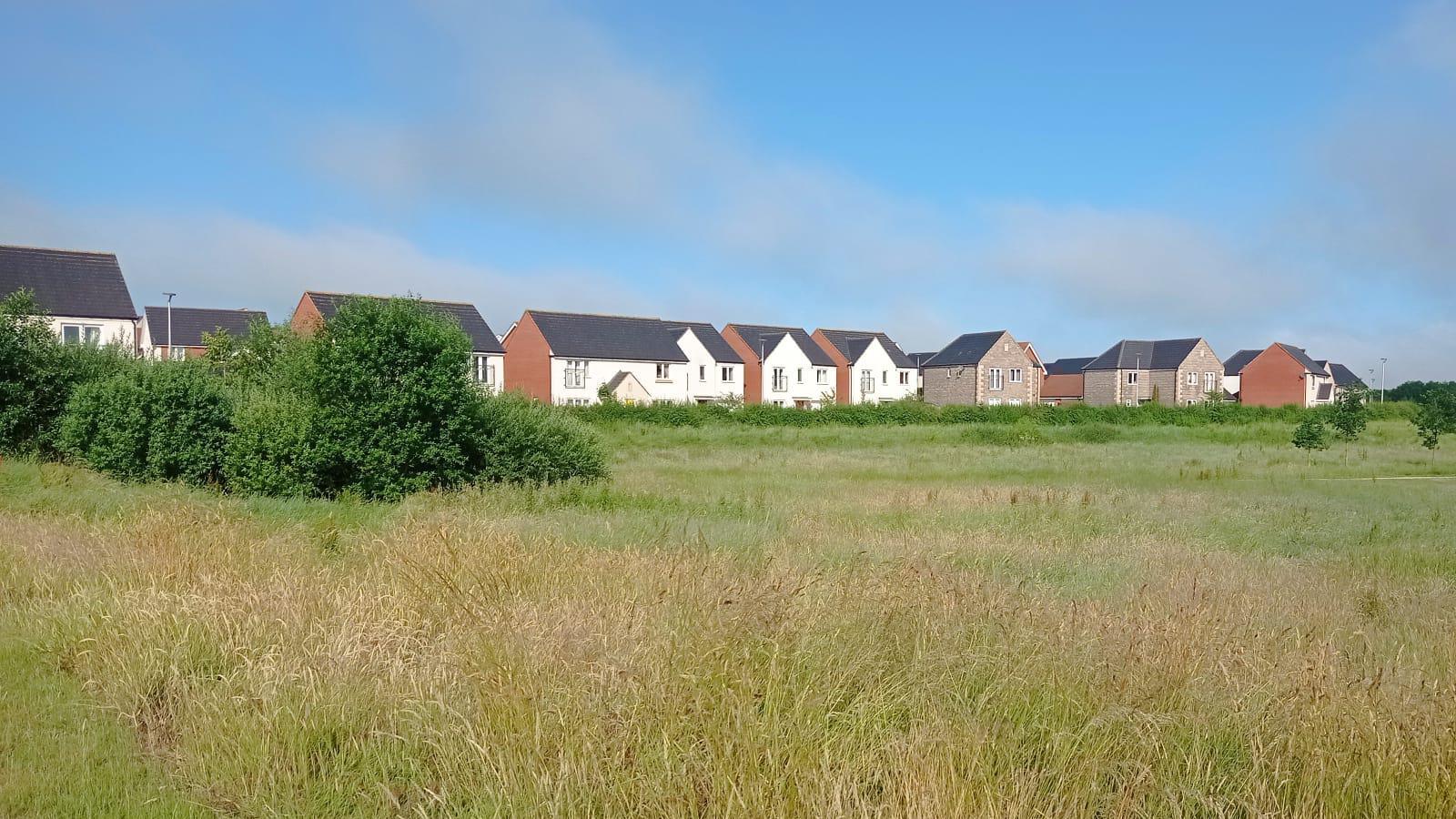 Cranbrook houses