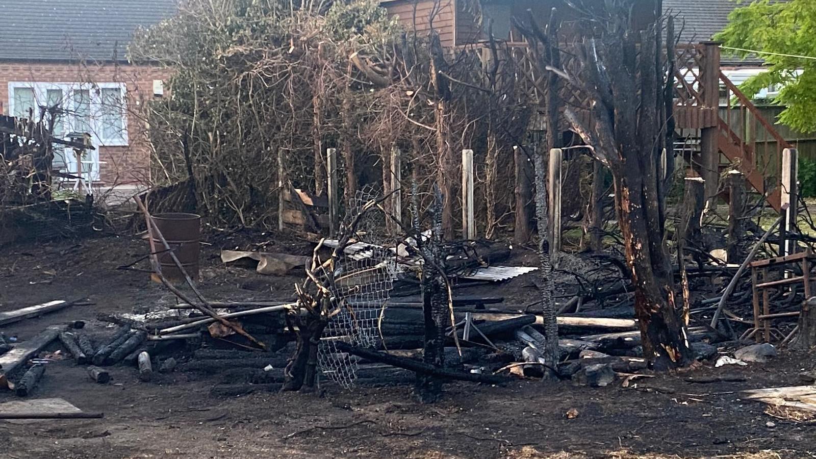 Scorched remains of a fence and trees