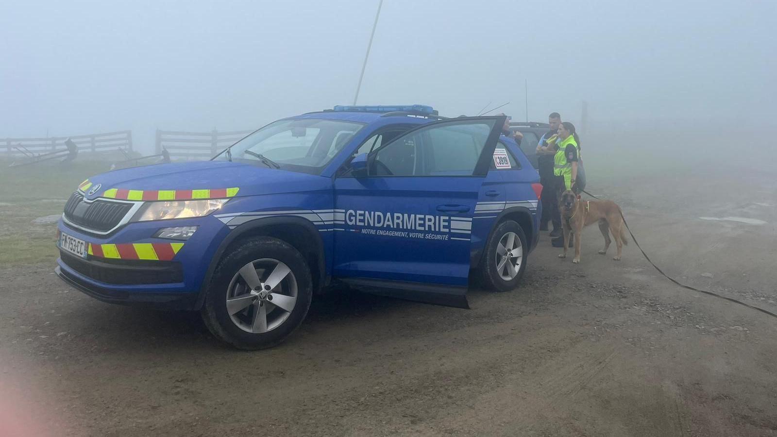 French blue search car in fog with two officers and sniffer dog