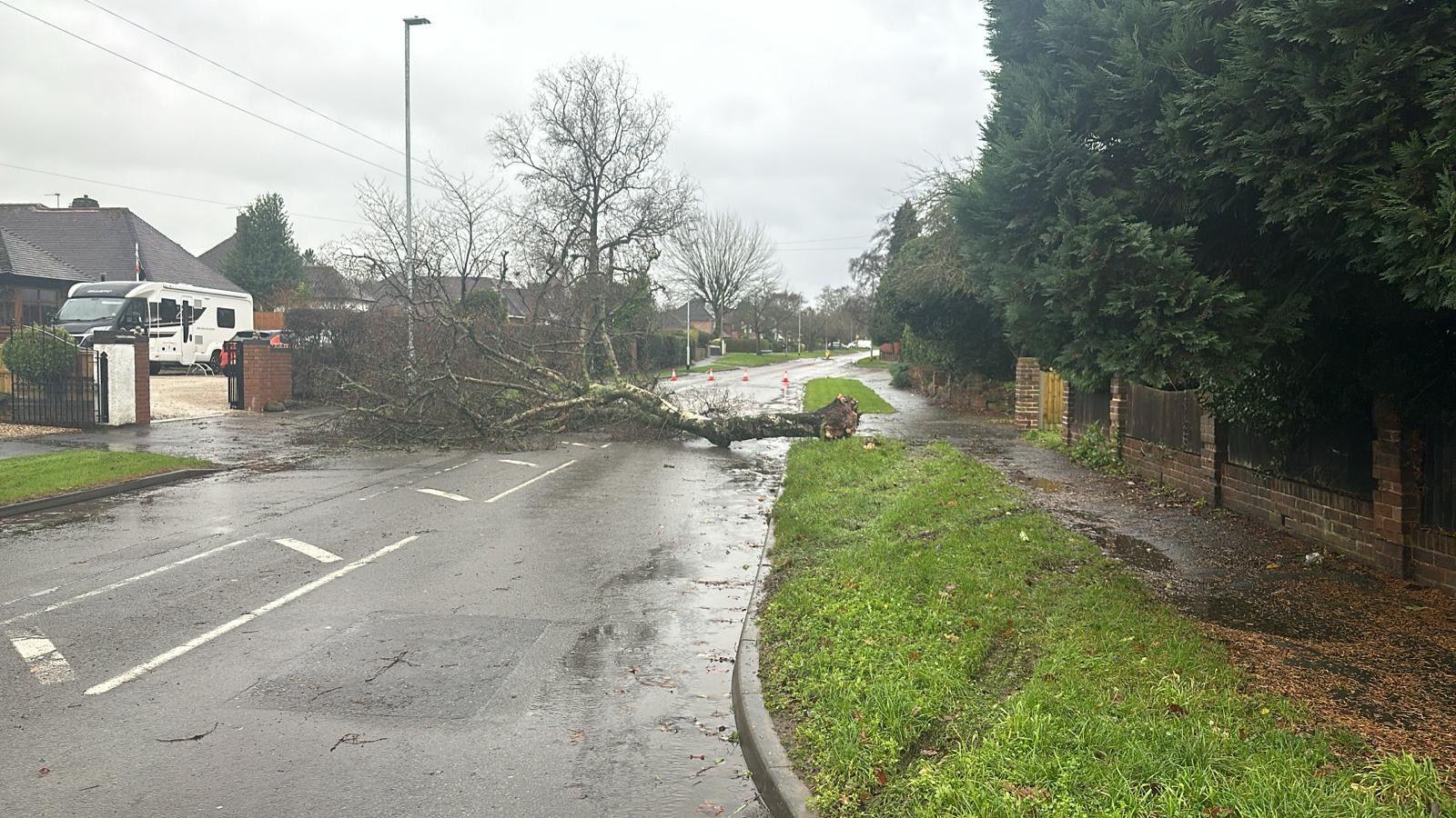 Residential street with a fallen tree blocking the road. A house with a caravan on the drive on the left and a pavement on the right. 