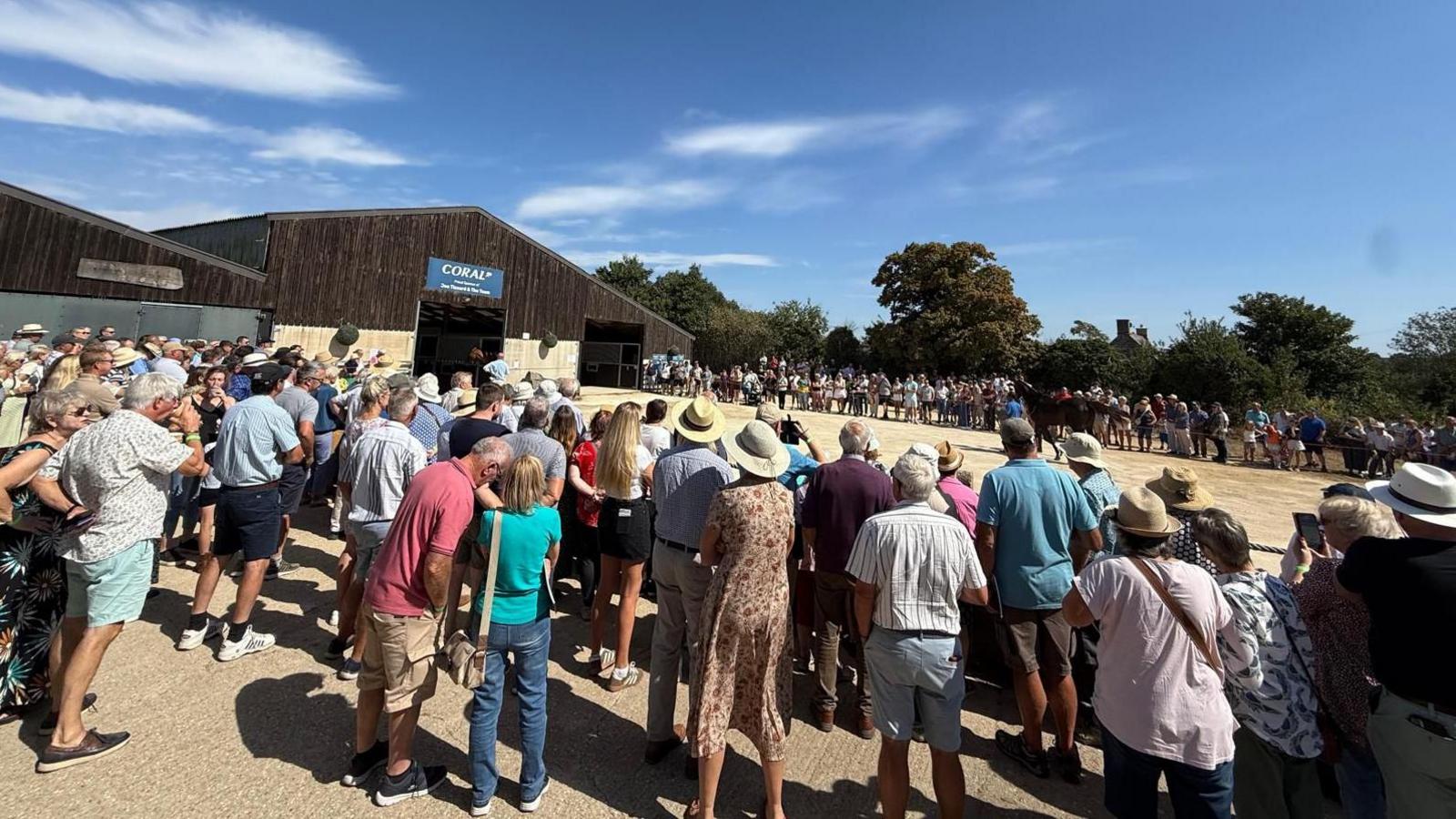 A large gathering of people at the charity event watching a horse parade.