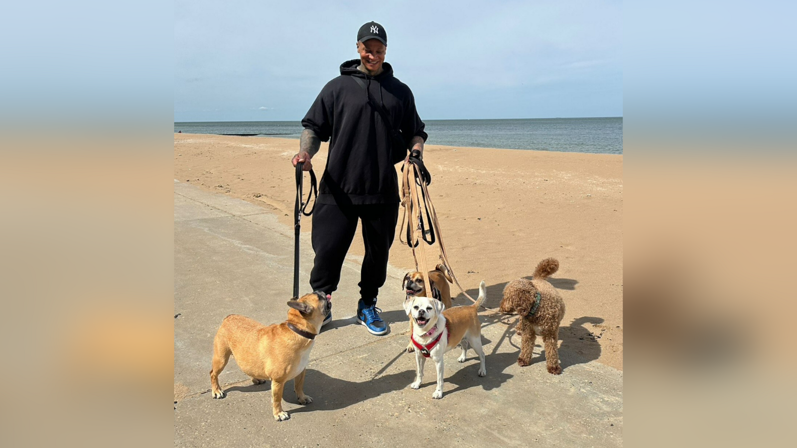 A man in a black tracksuit walks four dogs on leads. 