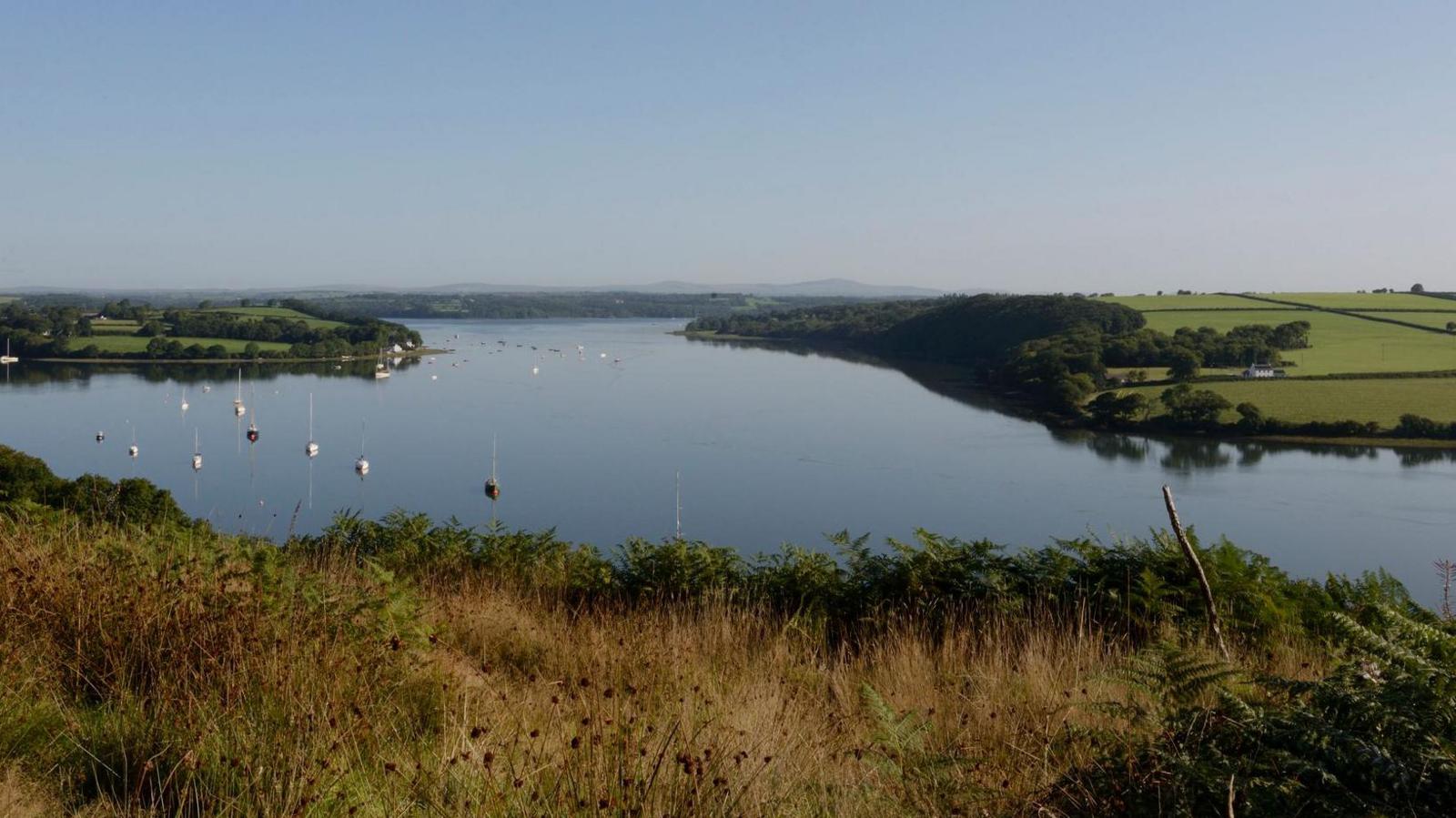 Aber yr afonydd Cleddau yn Sir Benfro
