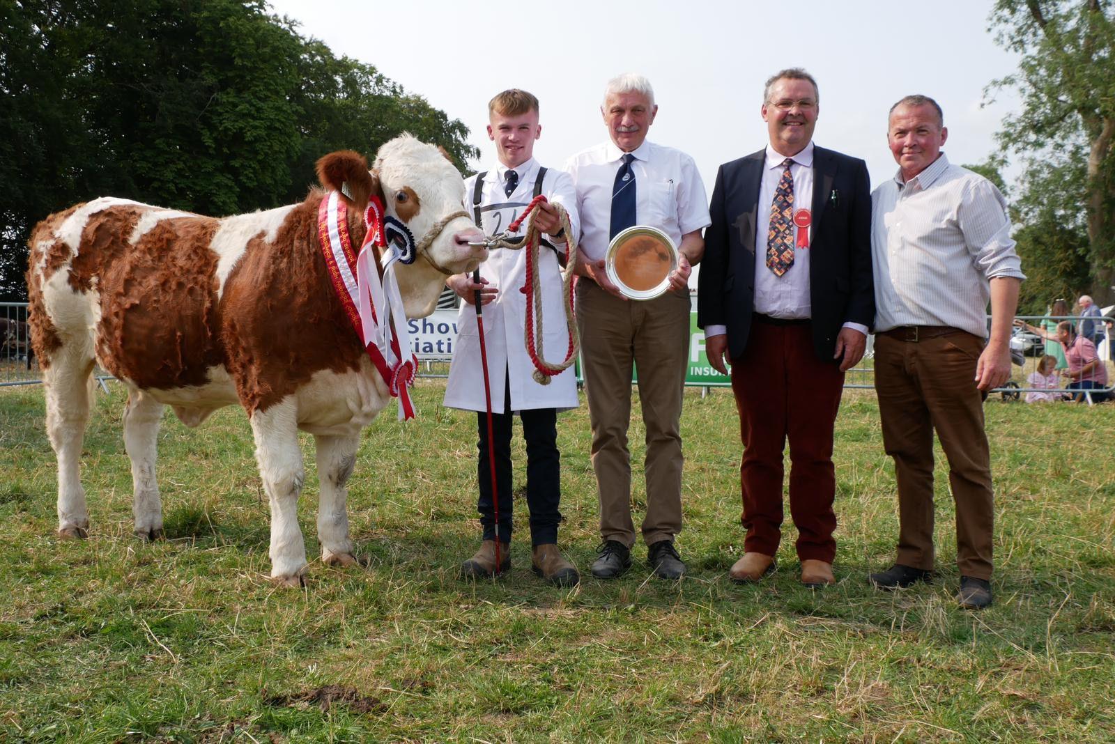 A brown and white cow is wearing red and white ribbons. A young man is holding his reins. He has light coloured hair and wearing a long white jacket with a tie and black trousers, and brown shoes. There are older men standing next to him. One is holding a hat and the other is wearing a ribbon.