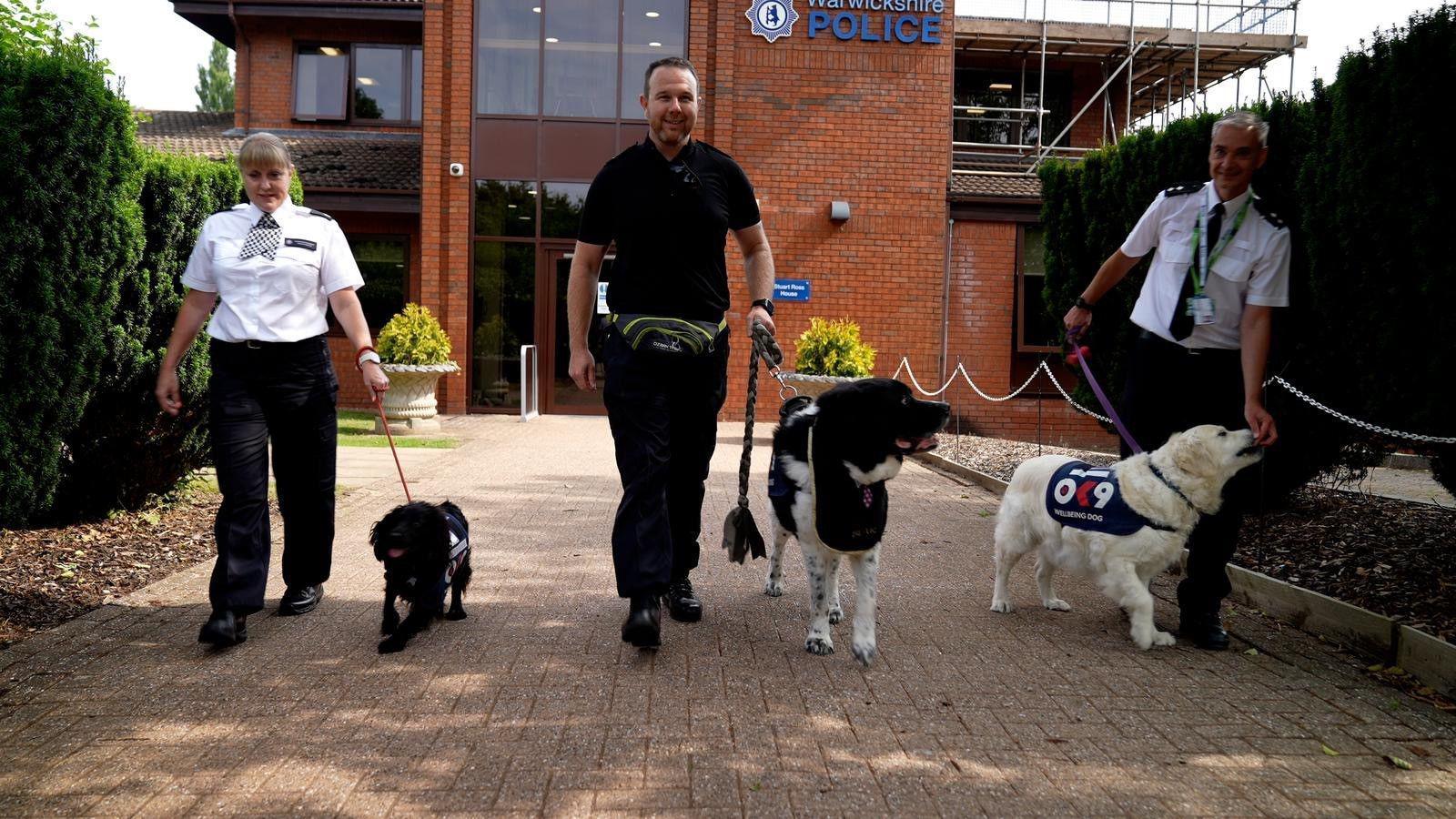 A woman and two men are walking down a path towards the camera. Behind them is the warwickshire police building. The woman, on the left, is in a white police shirt and is walking a black springer spaniel on a lead. The man in the middle is in all black with a bum bag around his waist. He is walking a black and white Newfoundland. On the right, the other man is wearing a white shirt with black tie and is walking a white golden retriever