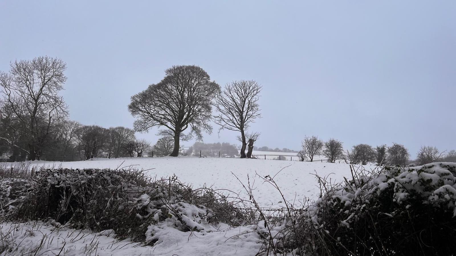 Caeau gwyn Treuddyn yn Sir y Fflint