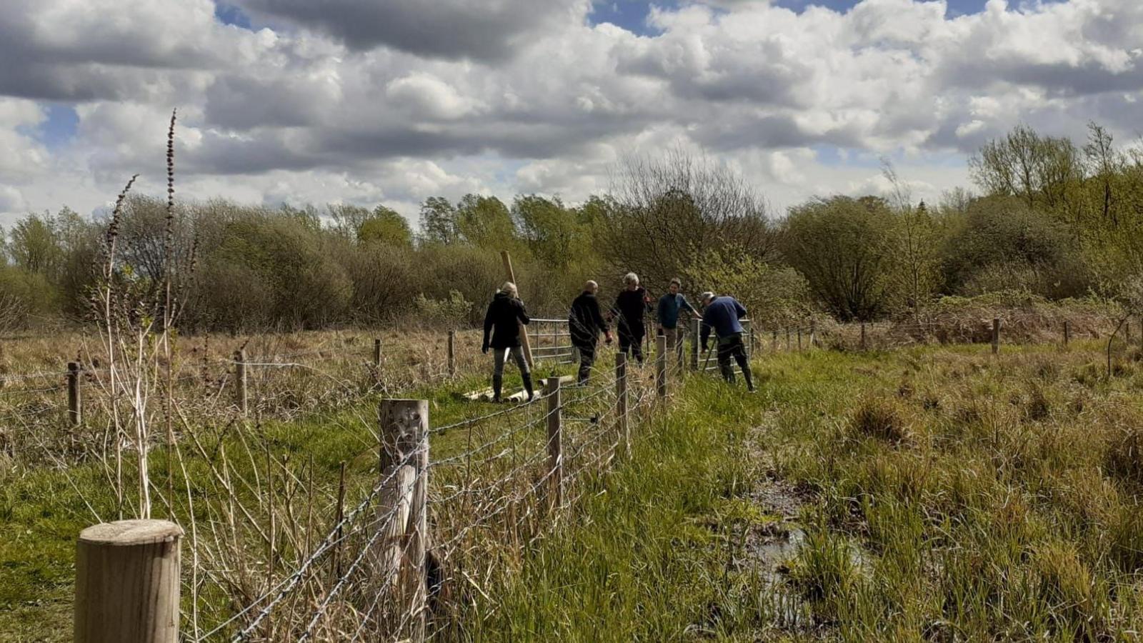 Five volunteers, working in field, mending a fence, there is green all around them, wet ditches and trees and bushes behind them.