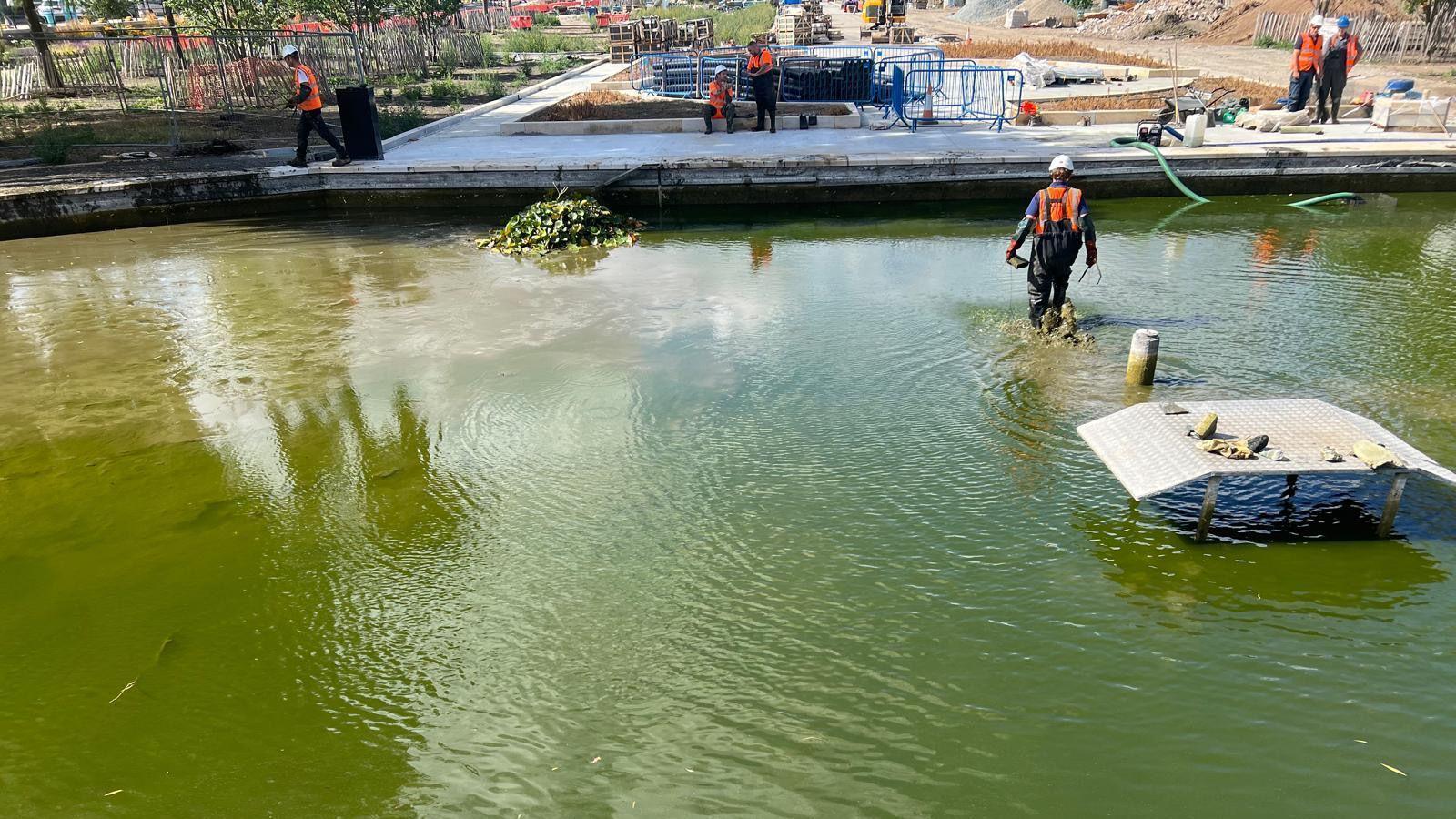 Large pond with murky green water. There is a worker with PPE walking in the water. There are five more workers on the pavement with construction fencing and material.
