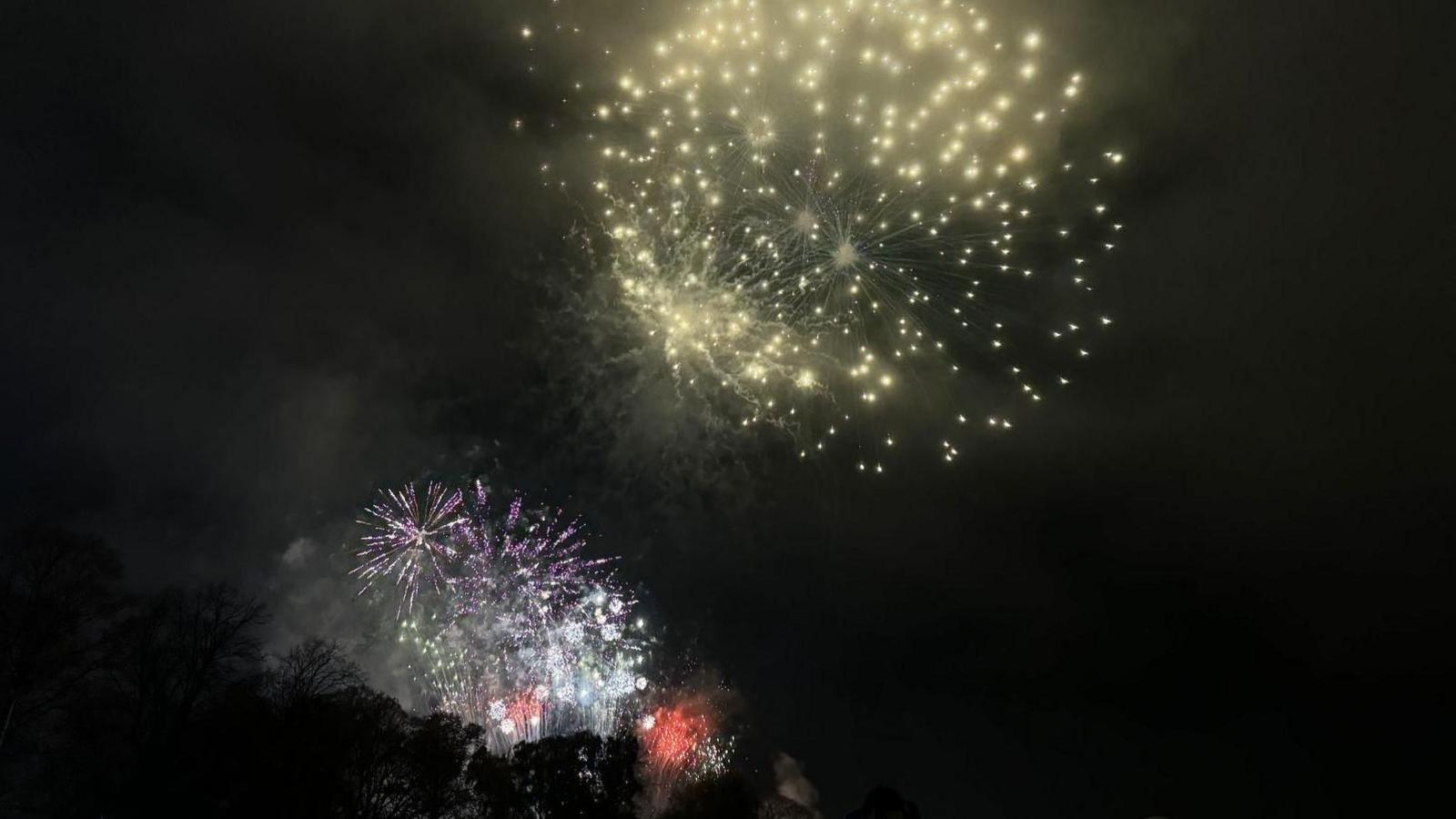 A pitch black sky with three different fireworks going off. All different colours of red, purple and white. 